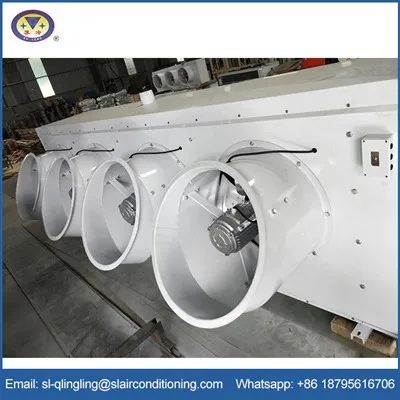 त्वरित-फ्रीजिंग स्टोरेज एयर कूलर